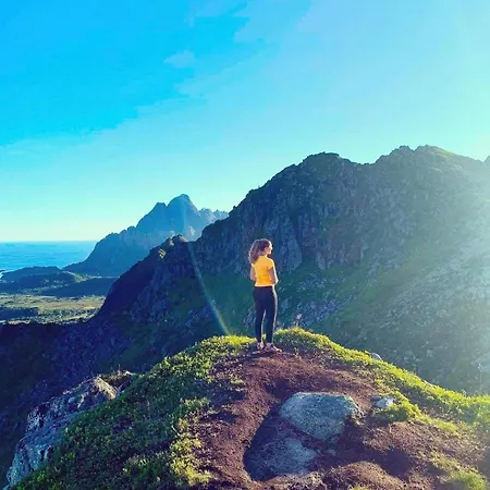 In Lofoten Storvagan