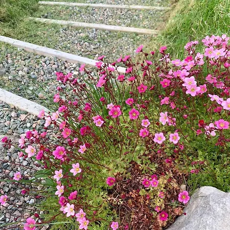 In Lofoten Holiday home Storvagan