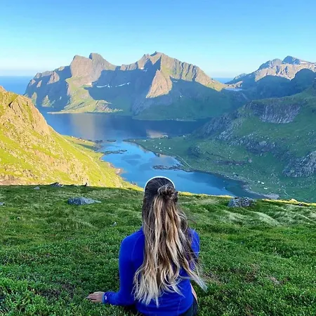 In Lofoten Storvagan
