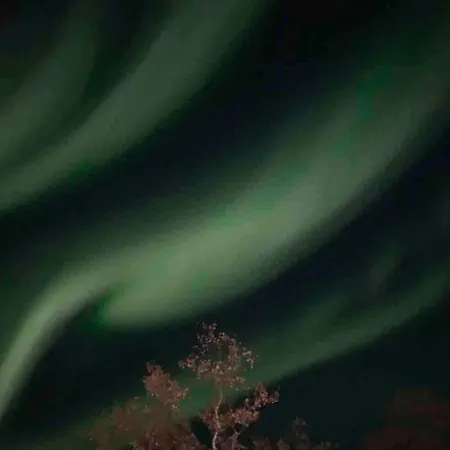 In Lofoten Feriehus *