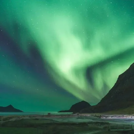 In Lofoten *